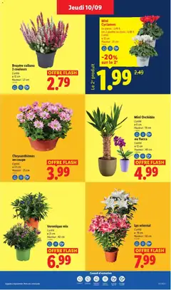 LIDL - Prévisualisation de LIDL catalogue valide à partir de 10/09/2026 | Page: 49