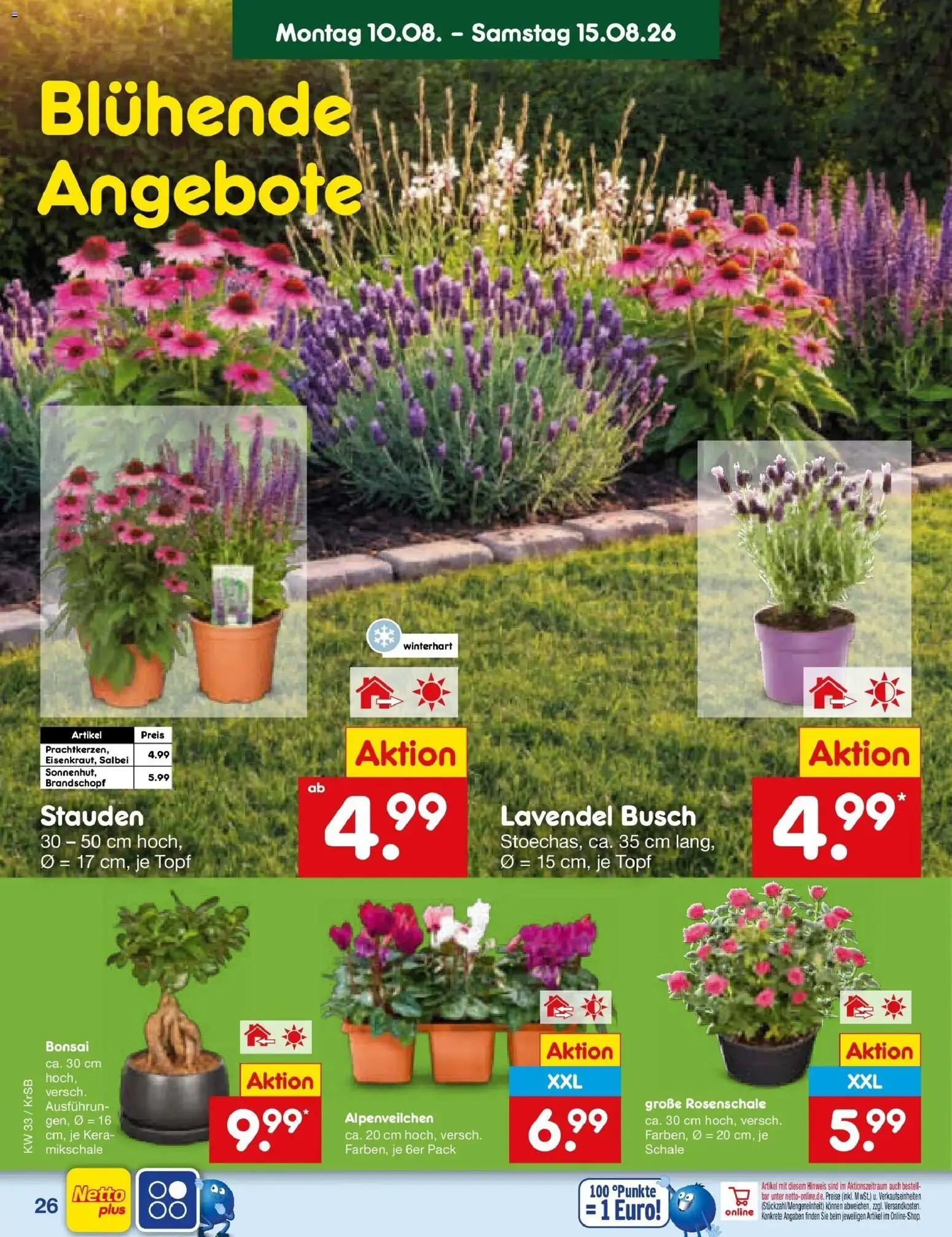 Netto Marken-Discount Prospekt Jüchen (ab 10.08.2026) » Angebote | Seite: 38 | Produkte: Lavendel
