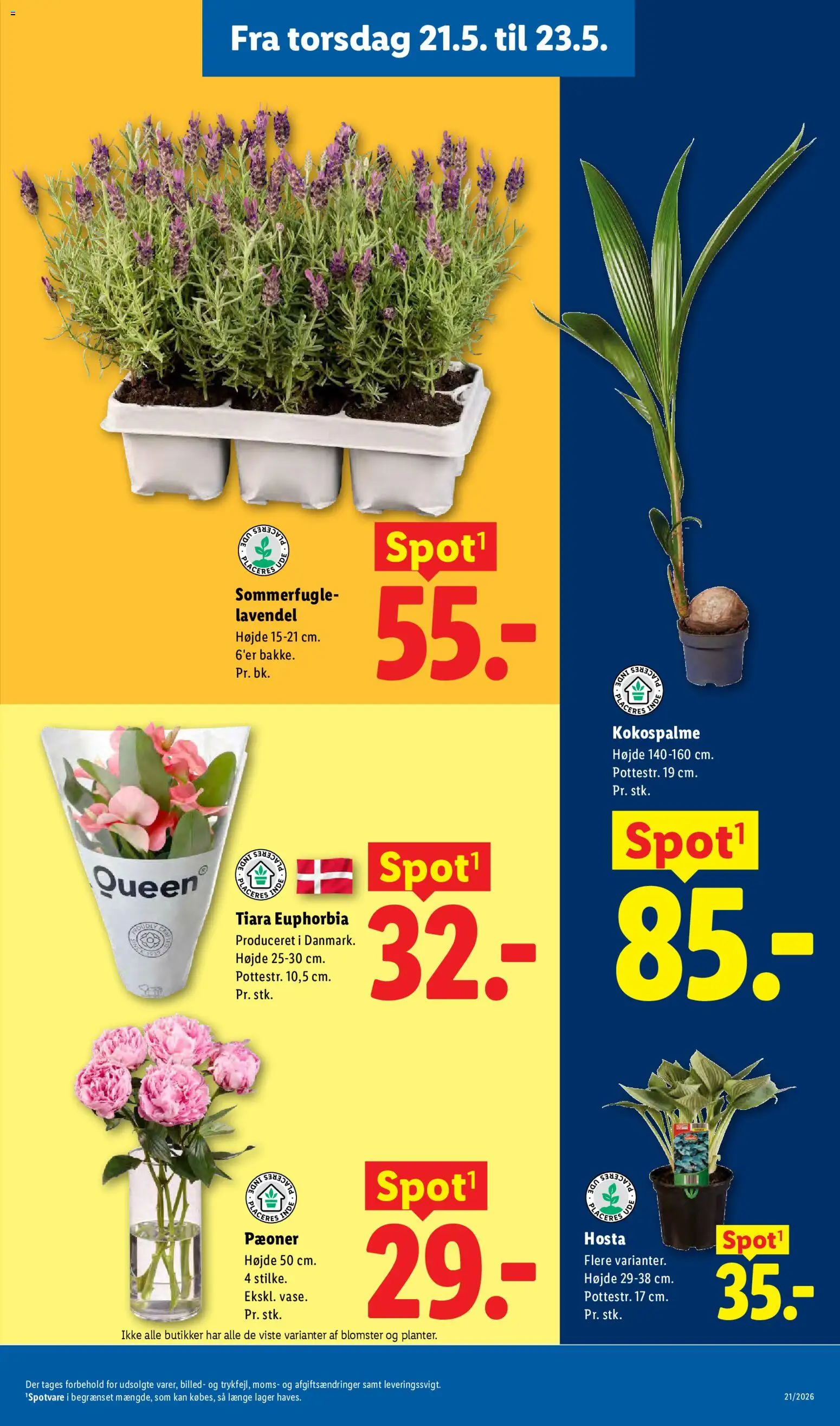 Lidl tilbudsavis – gyldig fra 17.05.2026 | Side: 32
