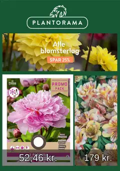 Plantorama - Tilbudsavis gyldig fra 05.05.2026