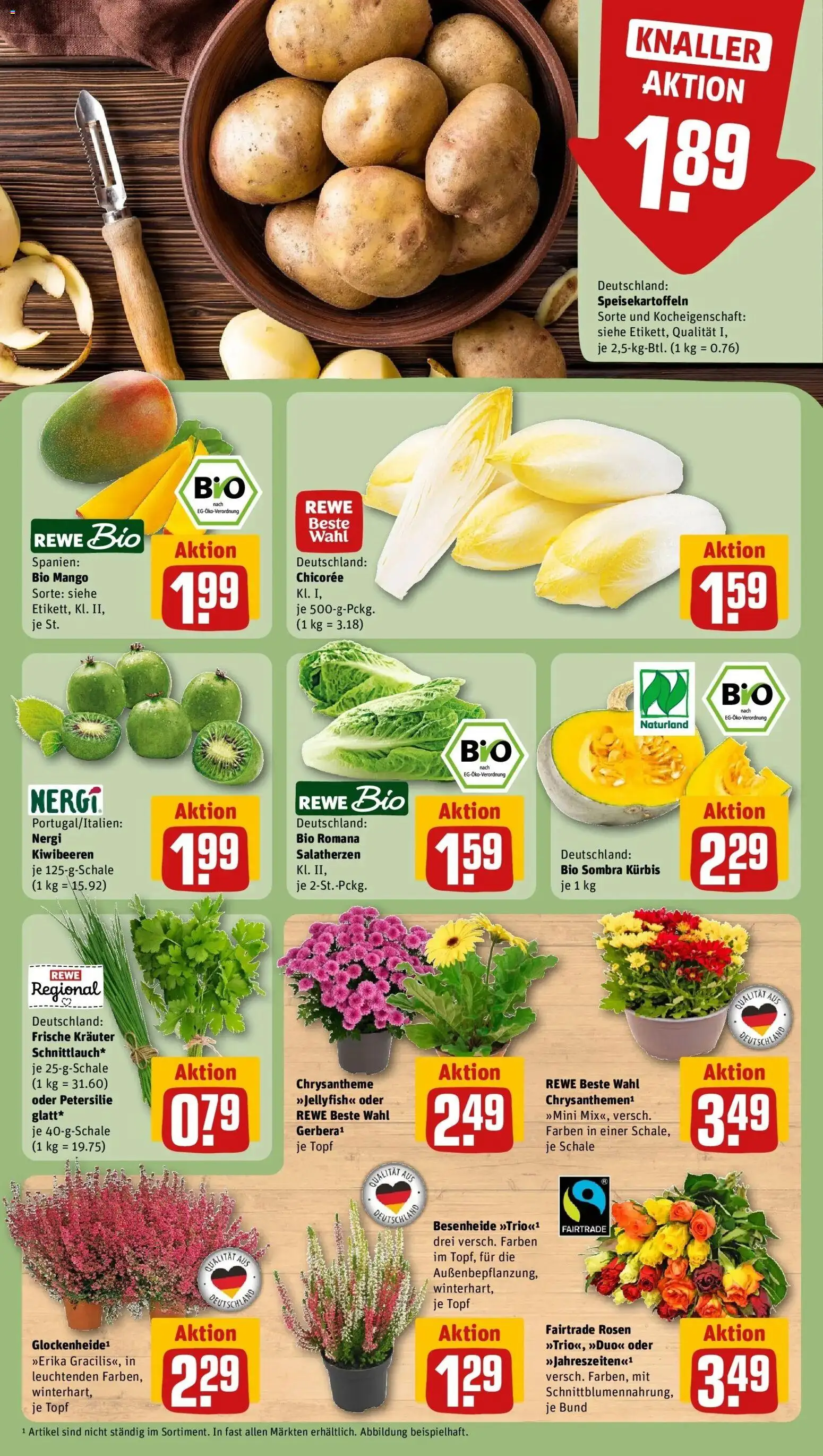 REWE Prospekt ab 21.09.2026 zum Blättern » Angebote | Seite: 13 | Produkte: Mango, Kürbis, Petersilie