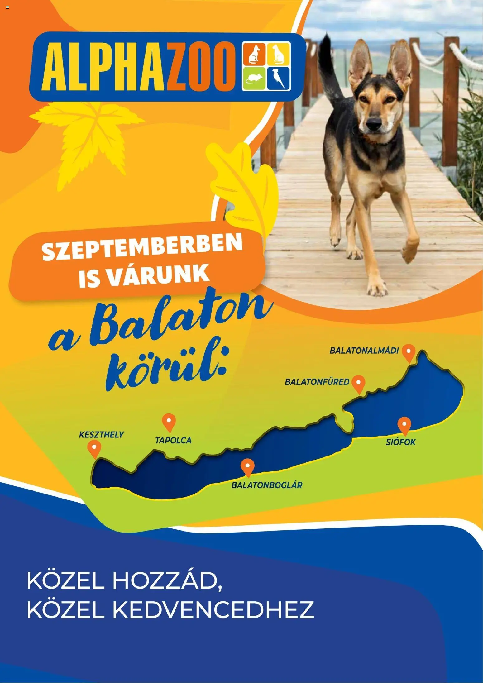 AlphaZoo akciós ujság - amely érvényes a következő dátumtól: 2026.08.21. | Oldal: 6