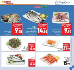 Anteprima del volantino TENTACOLI DI TOTANO GIGANTE DEL PACIFICO, prodotto pescato decongelato valido a partire dal 16.06.2026 | Pagina: 11 | Prodotti: Lupini, Salmone fresco, Branzino, Totano