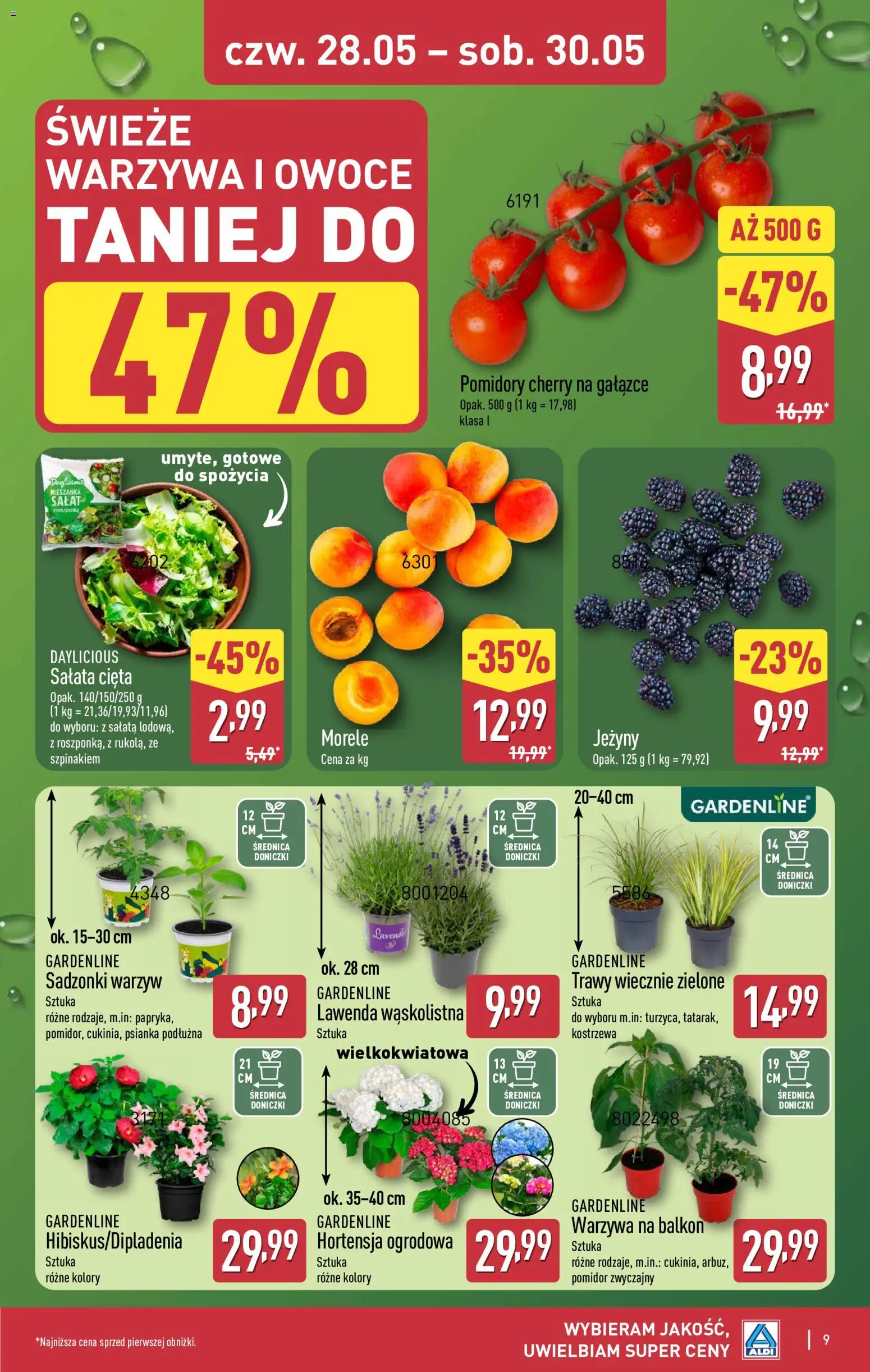 Aldi Polsko leták - Artykuły przemysłowe i tekstylia od 28.05.2026 | Strana: 9 | Produkty: Salát