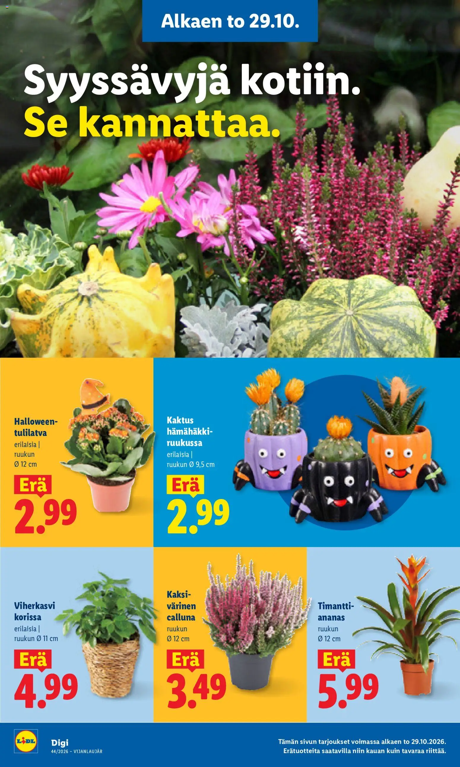 Lidl tarjoukset – voimassa 29/10/2026 alkaen | Sivu: 23