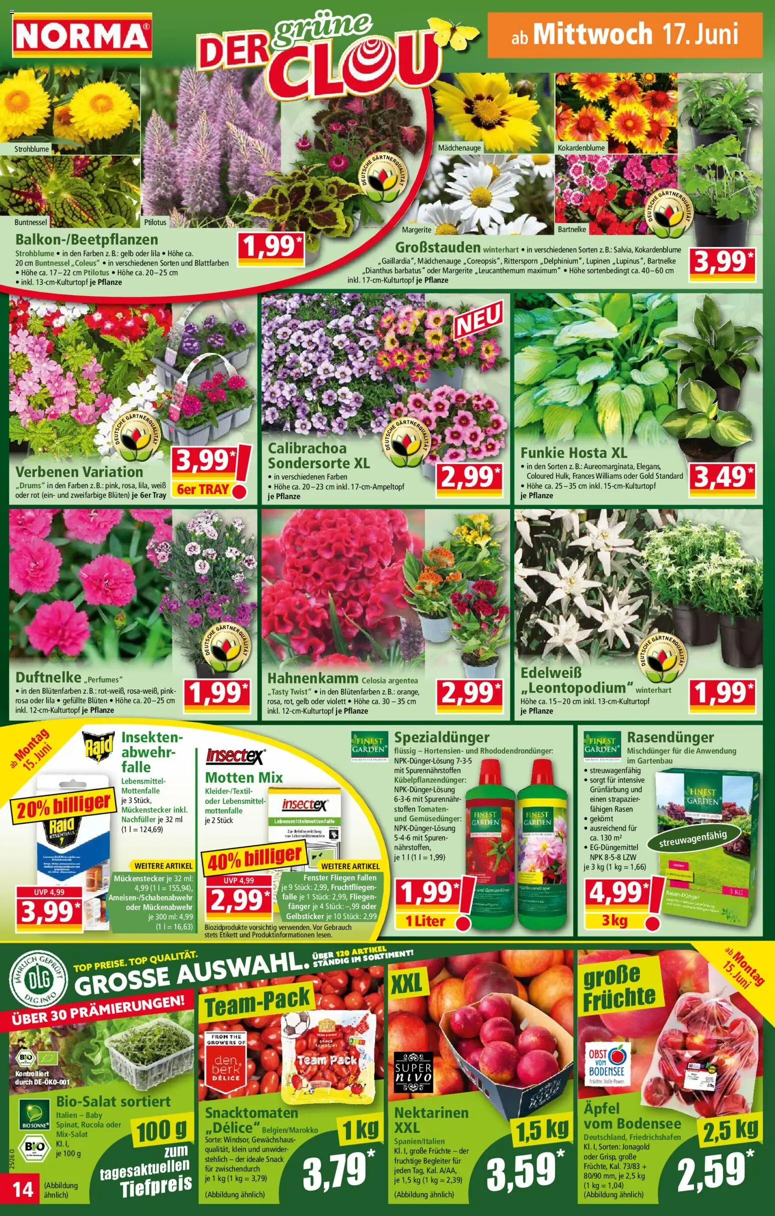 Norma Prospekt – gültig ab 15.06.2026 | Seite: 14 | Produkte: Top, Nektarinen, Rucola, Obst