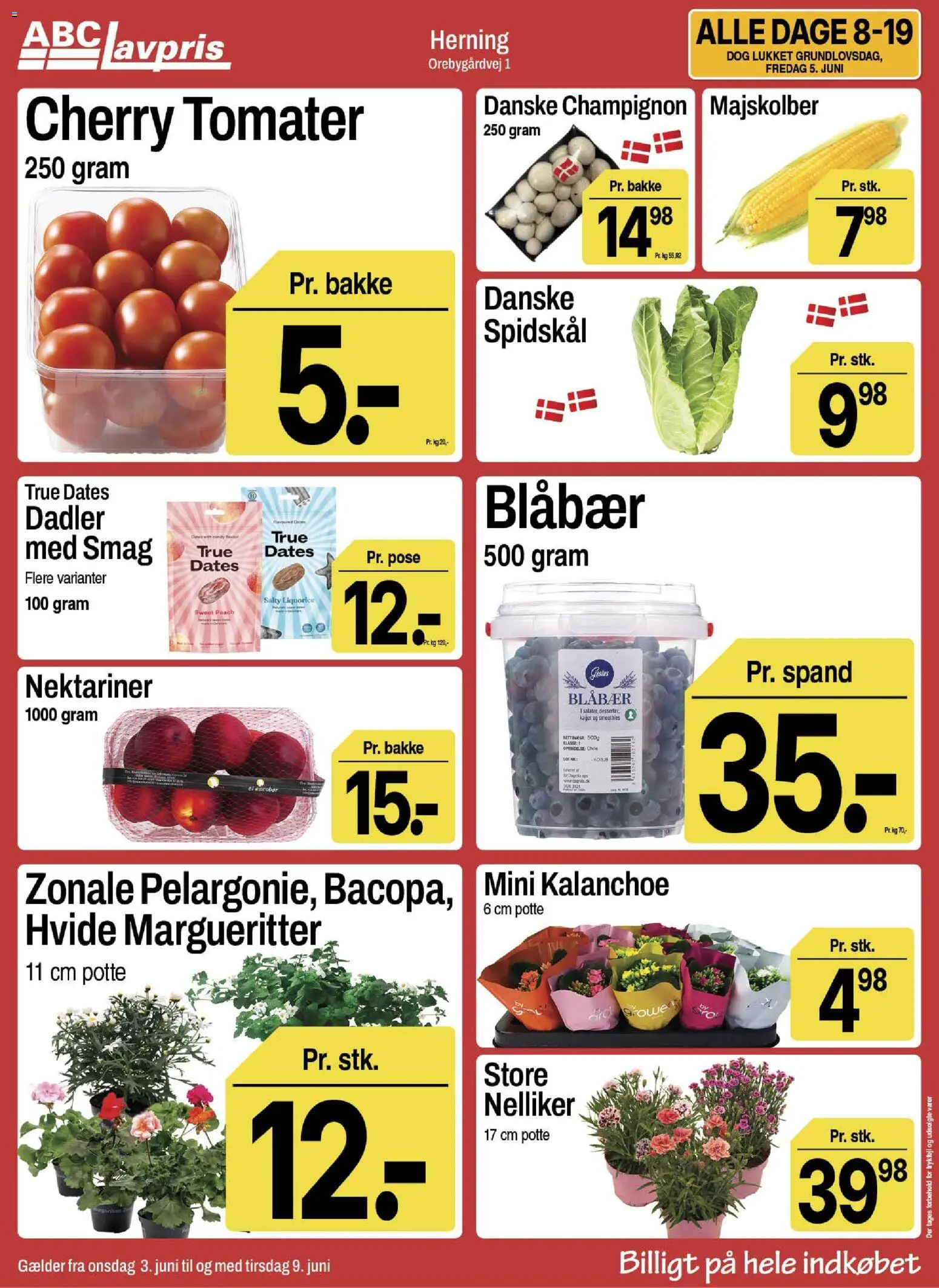 Abc Lavpris tilbudsavis – gyldig fra 03.06.2026 | Side: 3 | Produkter: Blåbær, Champignon, Spidskål, Nektariner