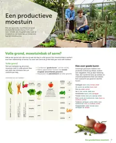 Aveve Tuingids  - Voorbeeld van een folder van Aveve, geldig van 23.02.2026 | Pagina: 7 | Producten: Aardbei, Ui, Komkommer, Erwt