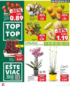Kaufland leták platný od 23.07.2026 | Strana: 5 | Produkty: Pomaranče, Paradajky, Orchidea, Čerešne
