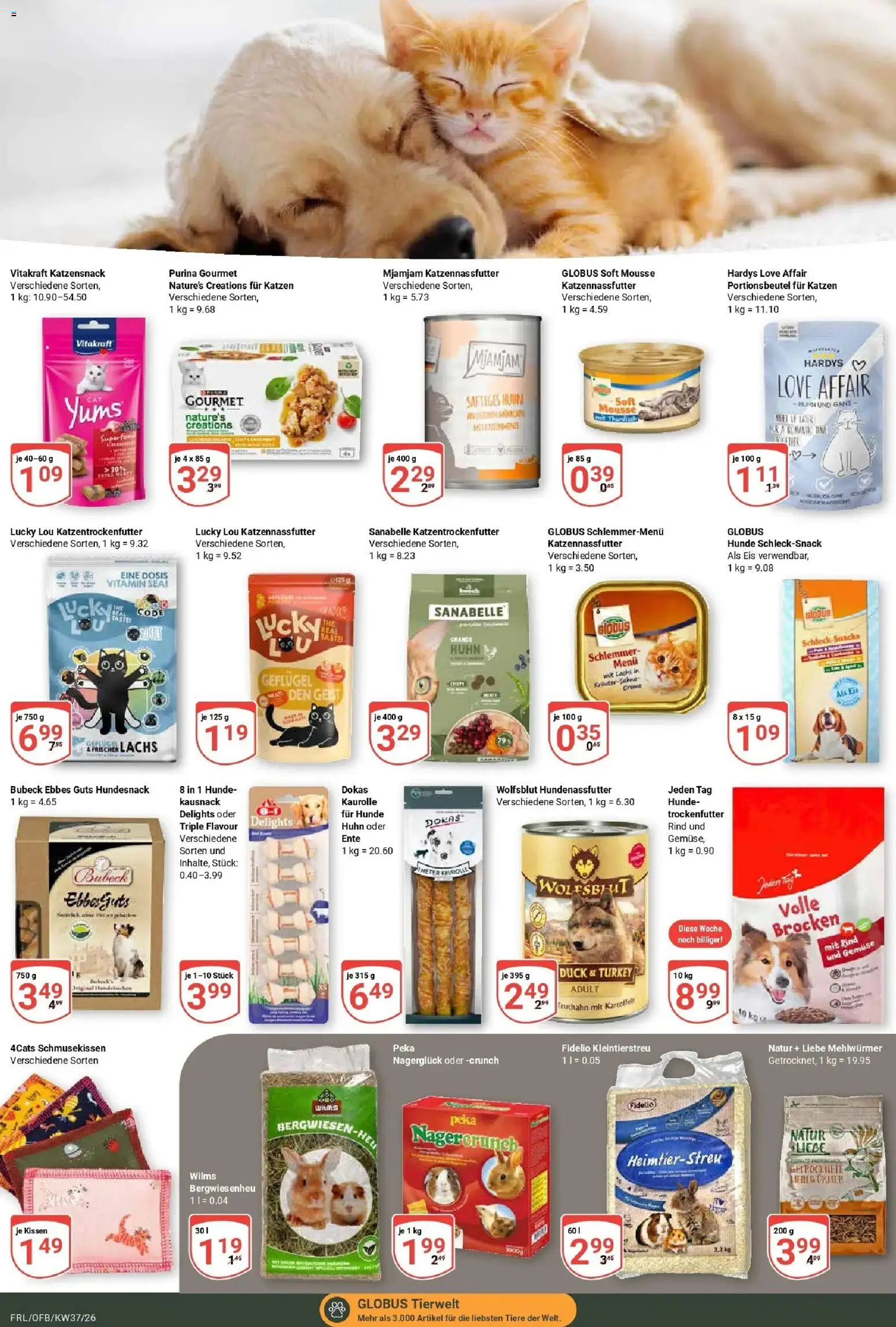 Globus Prospekt Freilassing – gültig ab 07.09.2026 | Seite: 23 | Produkte: Kissen, Lachs, Kartoffeln, Ente