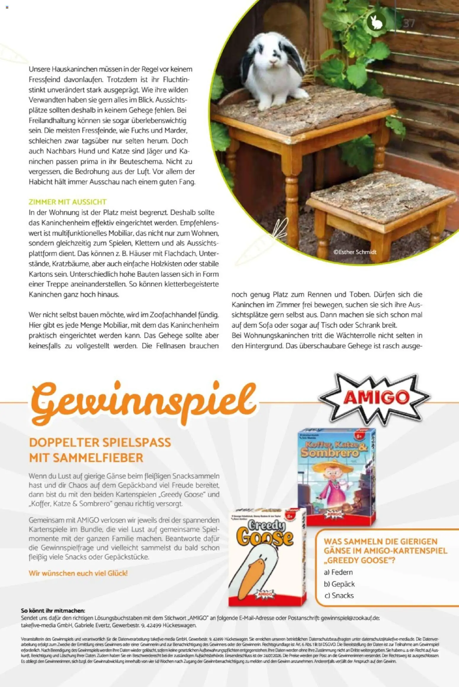 zookauf Heimtier Journal – gültig ab 01.06.2026 | Seite: 37 | Produkte: Spiel, Sofa, Kaninchen, Schrank