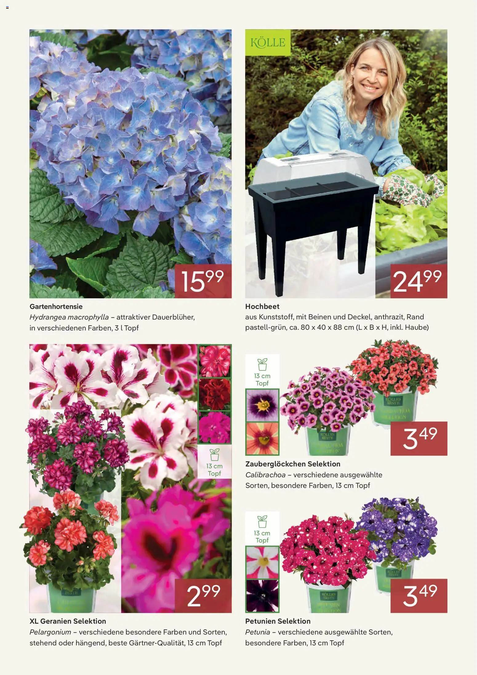 Pflanzen-Kölle Onlineflyer  Juni – gültig ab 01.06.2026 | Seite: 2 | Produkte: Hochbeet, Geranien