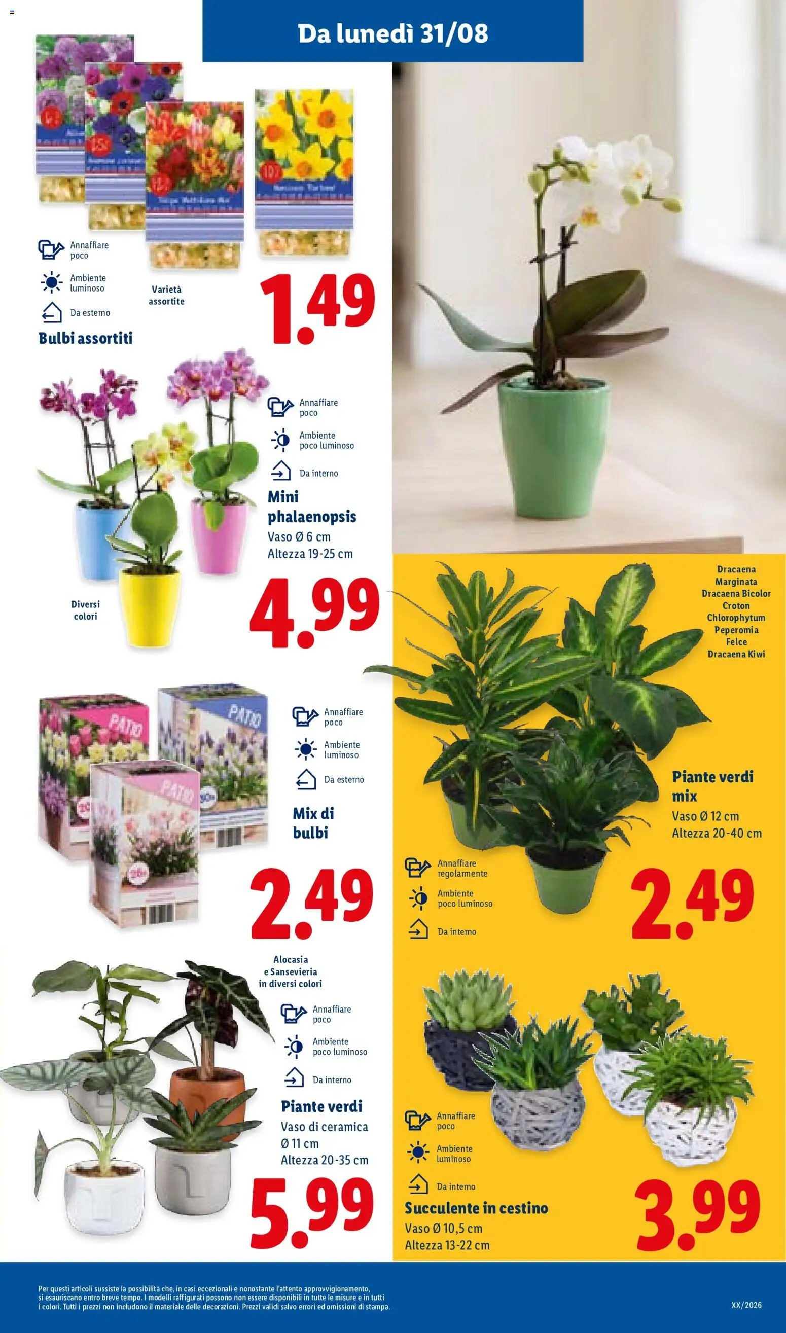 Volantino Lidl del 27/08/2026 | Pagina: 33
