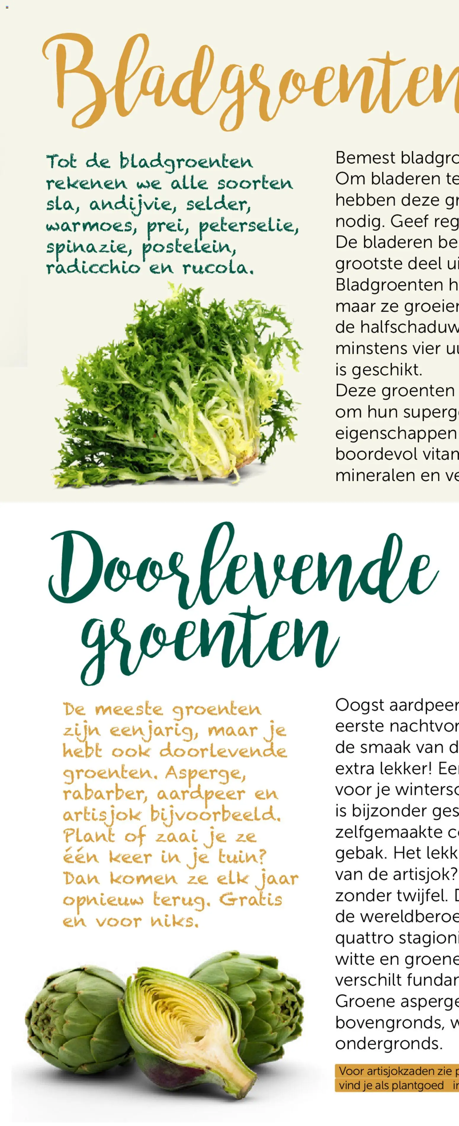 {H1} | Pagina: 12 | Producten: Groenten, Ui, Artisjok