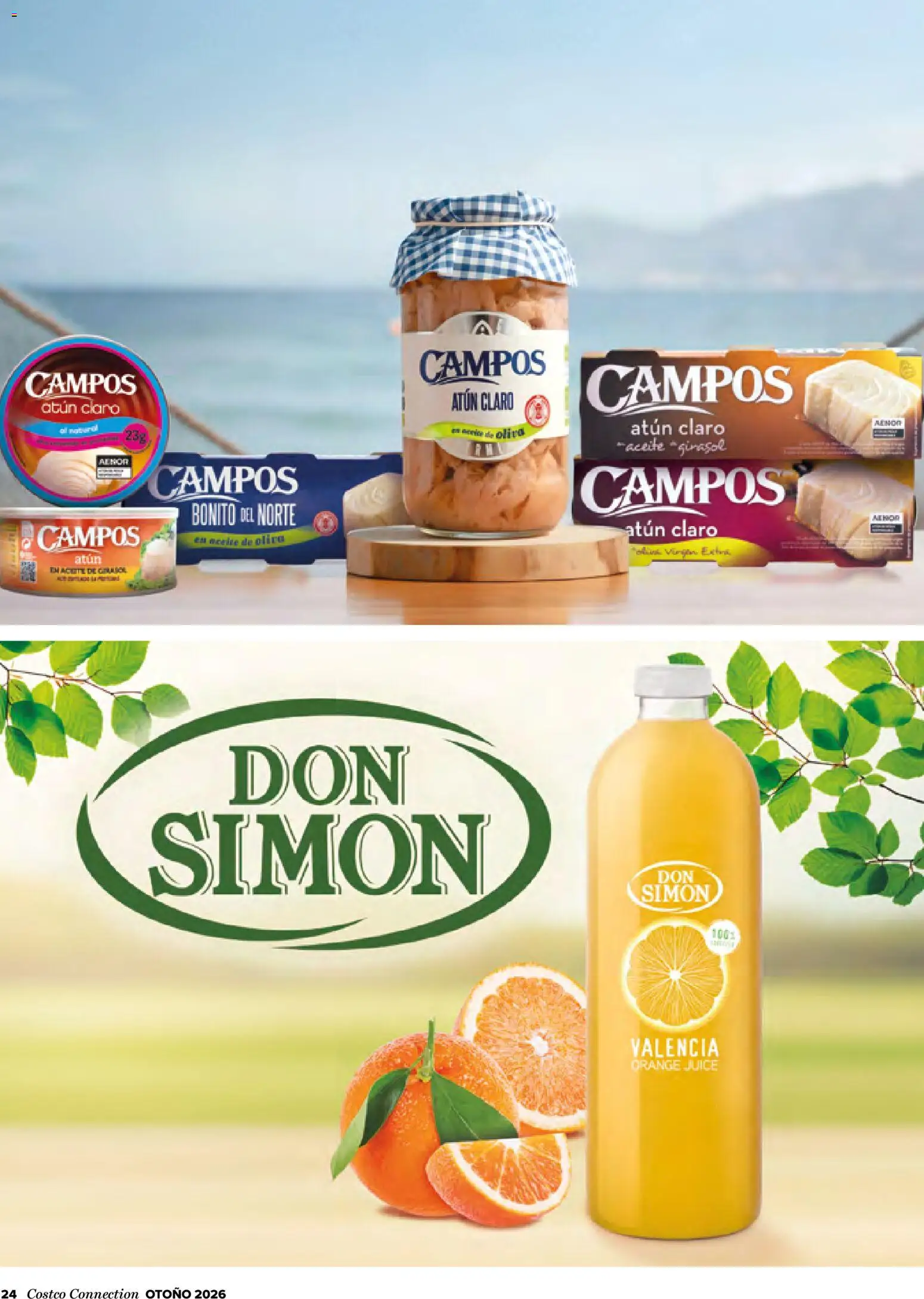 Costco catálogo Otoňo │ válido desde el 14/10/2026 | Página: 24 | Productos: Atún, Aceite, Atún claro