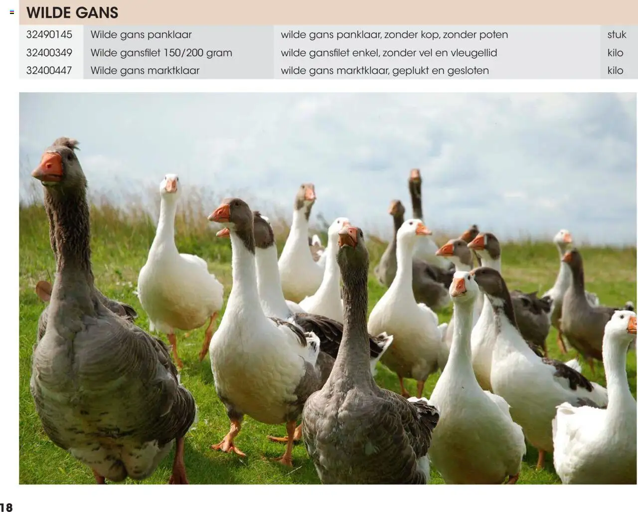 {H1} | Pagina: 18 | Producten: Gans