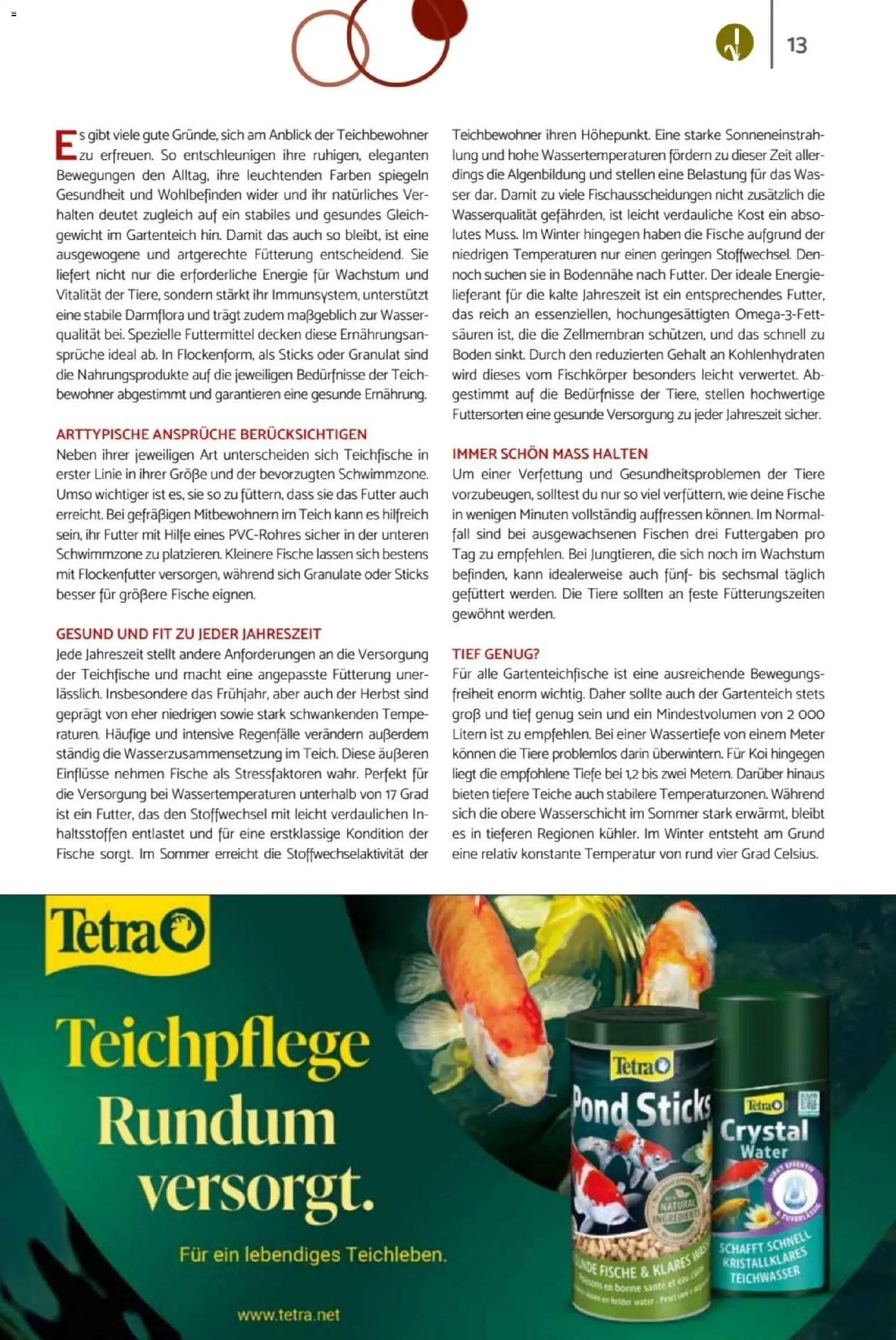 zookauf Heimtier Journal – gültig ab 01.06.2026 | Seite: 13 | Produkte: Gewicht, Wasser