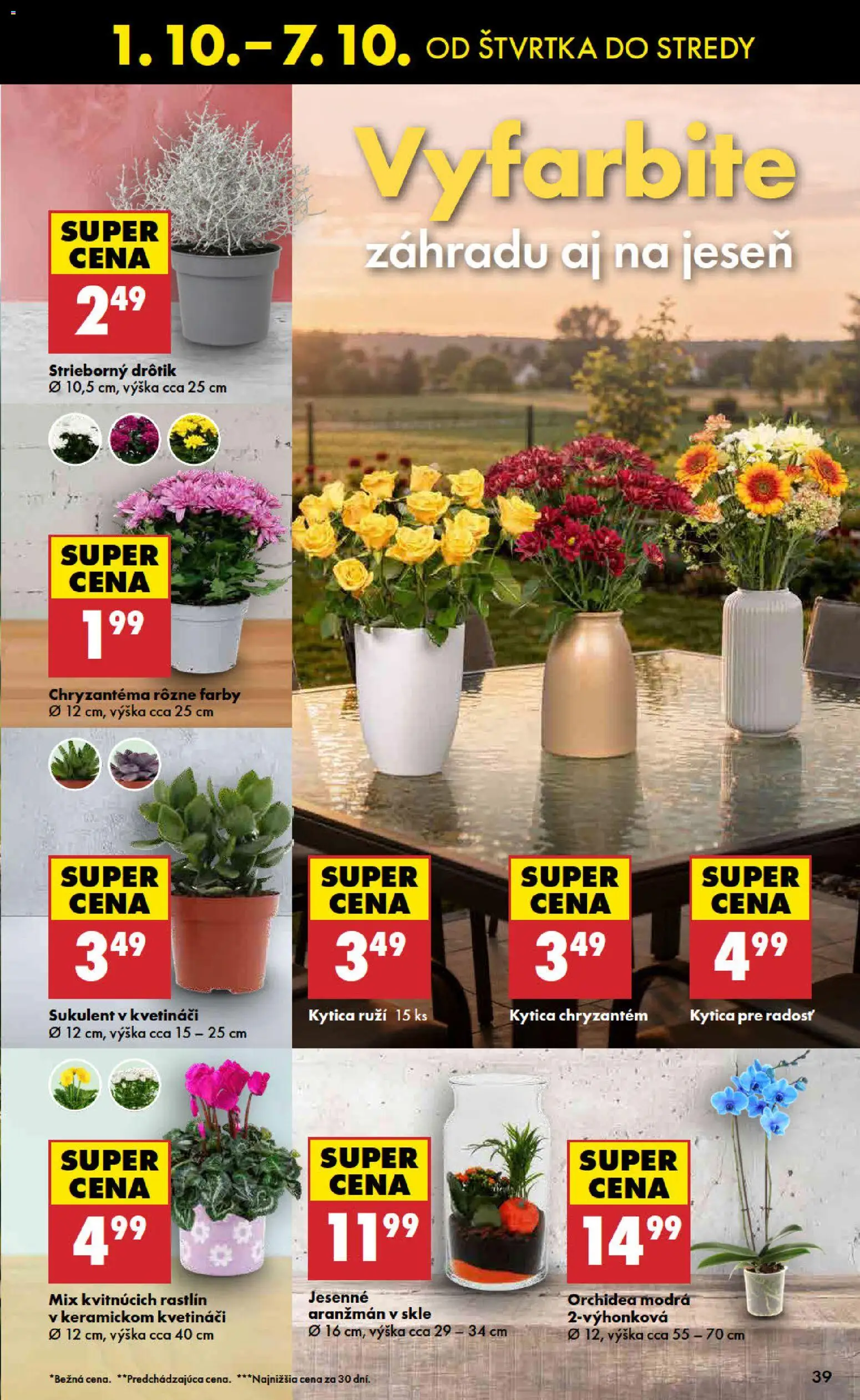 Nové Biedronka akcie – leták je platný od 01.10.2026 | Strana: 39 | Produkty: Orchidea