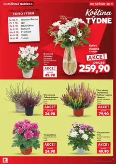 Náhled letáku Vřes obecný čtyřbarevný Calluna vulgaris Quattro, průměr květináče: 13 cm, 1 kus od 30.09.2026 | Strana: 5 | Produkty: Vřes, Květináče, Kytice
