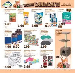 Anteprima del volantino Prix volantino valido a partire dal 05.06.2026 | Pagina: 13