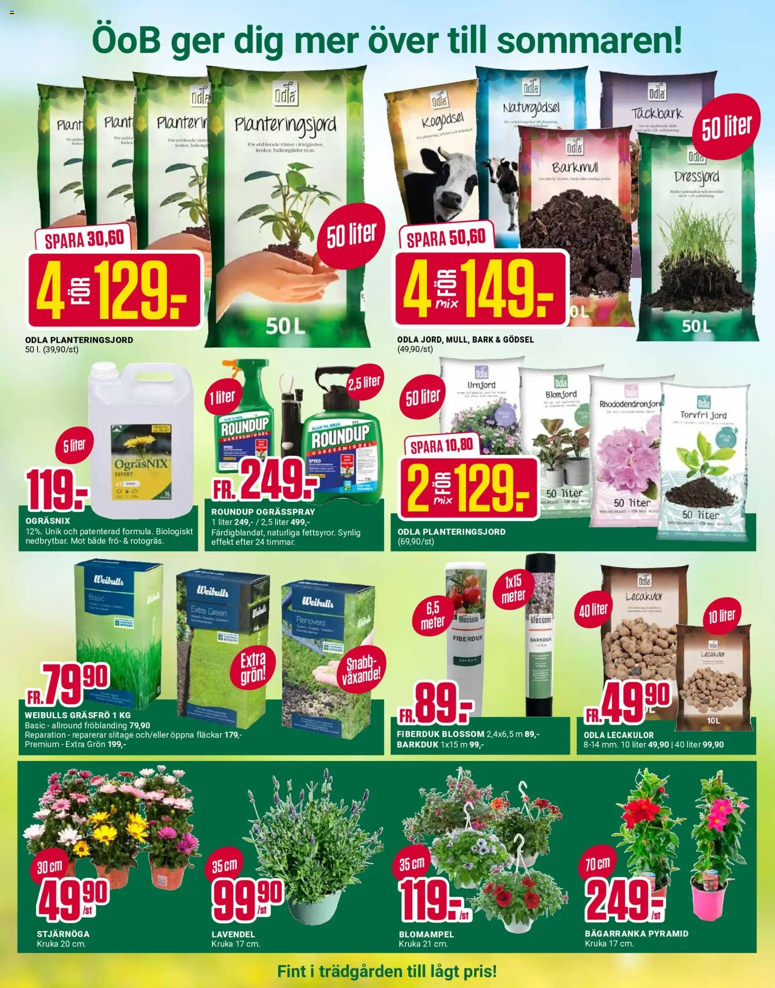 ÖoB reklamblad aktuell från 25.05.2026 | Sida: 6