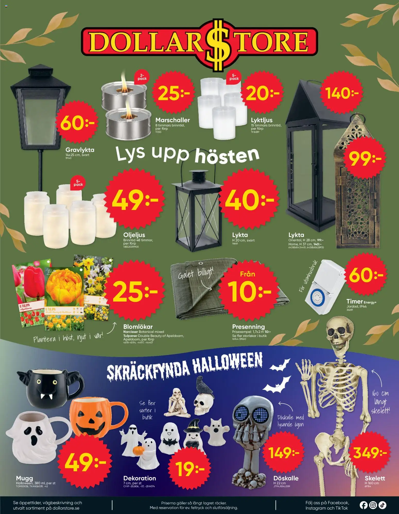 Dollar Store reklamblad aktuell från 07/09/2026 | Sida: 8