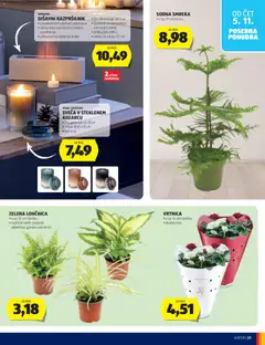 Hofer katalog akcije – veljaven od 28.10.2026 | Stran: 33 | Izdelki: Sveča, Kos, Zelena, Časovnik