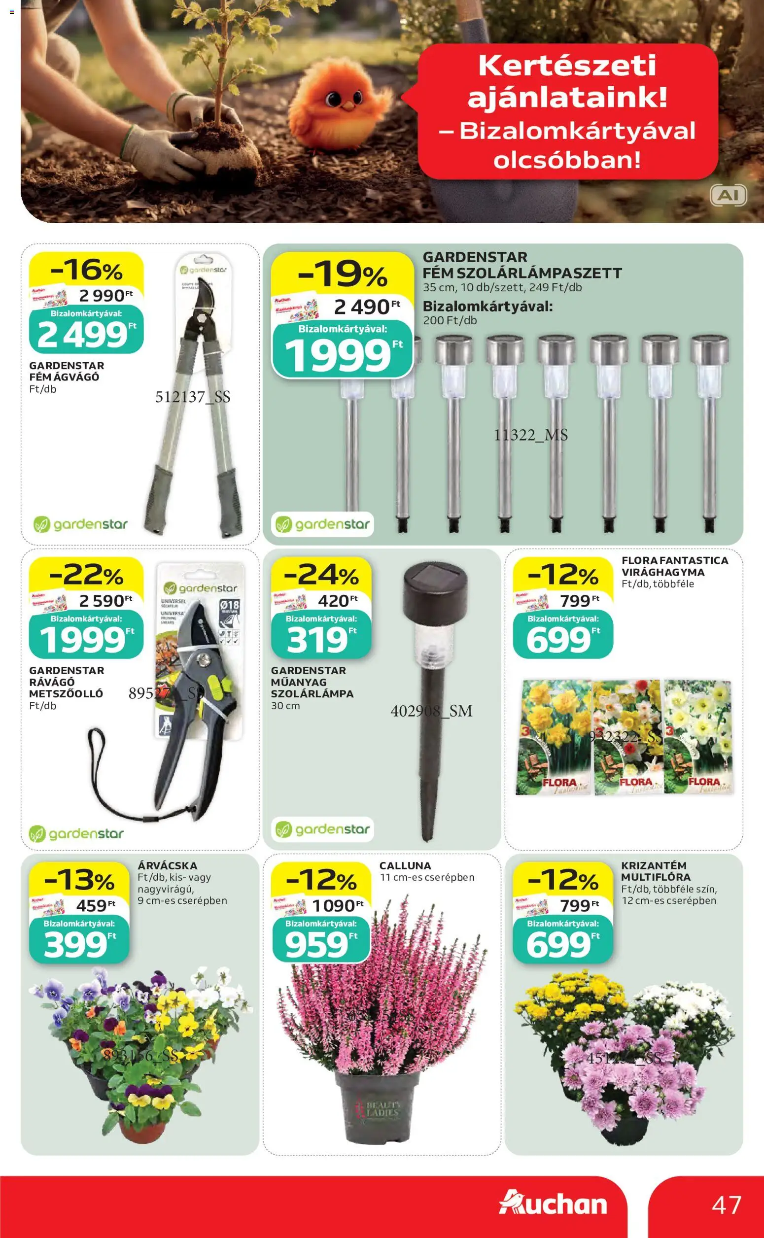 Auchan akciós ujság - amely érvényes a következő dátumtól: 2026.08.27. | Oldal: 47 | Termékek: Árvácska, Virághagyma, Szolárlámpa, Ágvágó