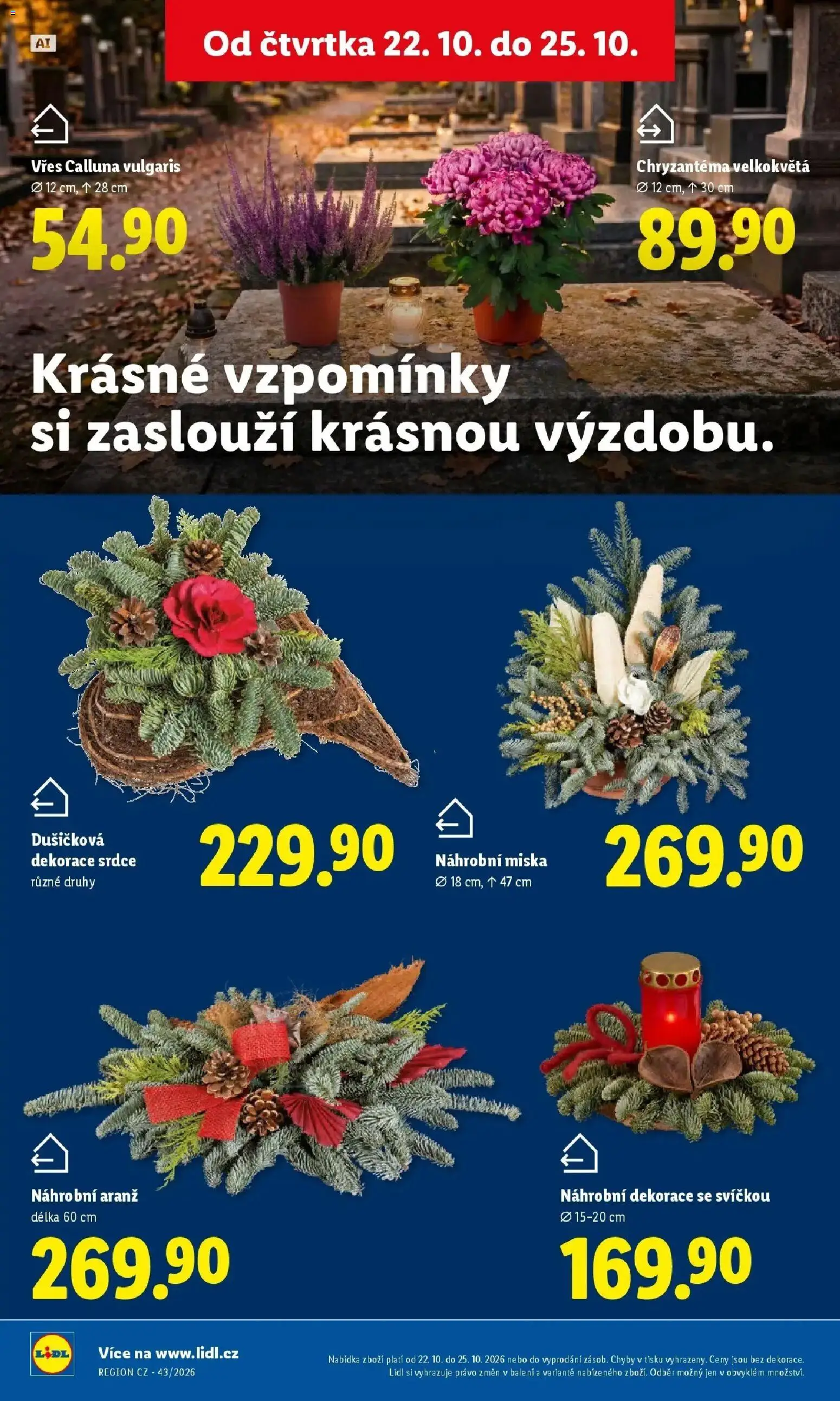 Lidl leták od 22.10.2026 - Nový akční leták | Strana: 49 | Produkty: Vřes, Miska, Dekorace