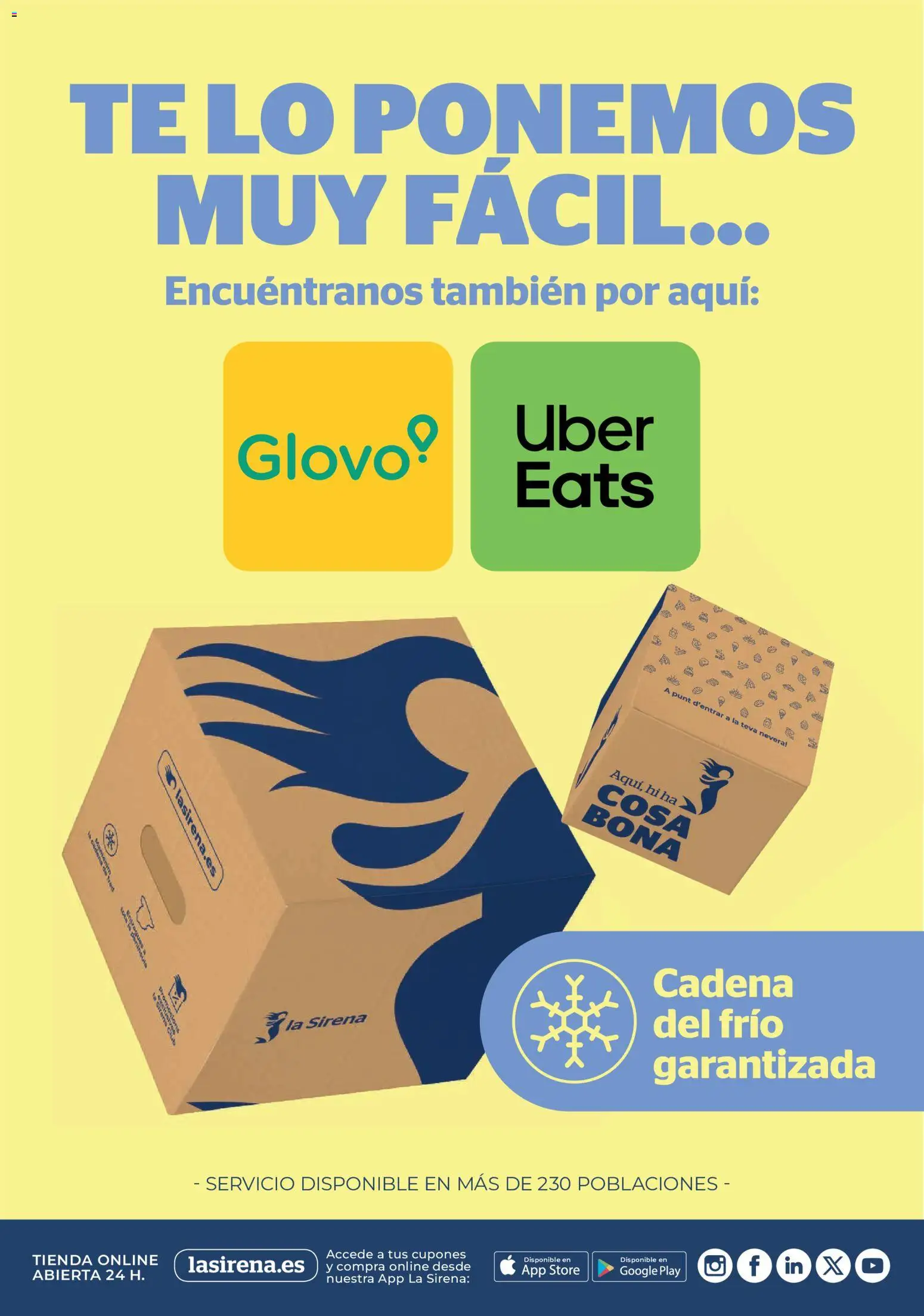 La Sirena folleto │ válido desde el 28.05.2026 | Página: 11 | Productos: Té, Nevera