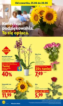 Pogląd oferty "Wszystkie storczyki, Limit: 4 szt. na kupon. Szczegóły promocji dostępne w aplikacji Lidl Plus." - ważna od 25.06.2026 | Strona: 40 | Produkty: Storczyki