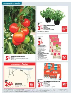 Auchan - Prévisualisation de Auchan Produits laitiers supers valide à partir de 05.05.2026 | Page: 40 | Produits: Plantes, Sel, Table, Table pliante