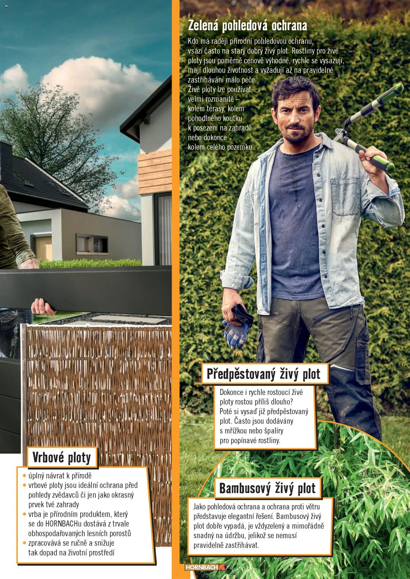 HORNBACH leták - Terasa od 01.01.2026 | Strana: 45 | Produkty: Rostliny