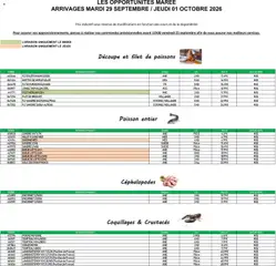 Promocash - Prévisualisation de Promocash Opportunités Marée valide à partir de 29/09/2026