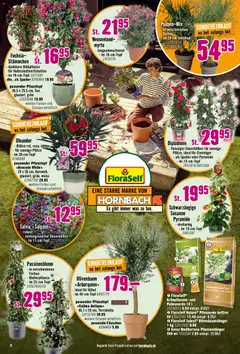 Hornbach aktionen ab 28.04.2026 gültig | Seite: 8 | Produkte: Avocado