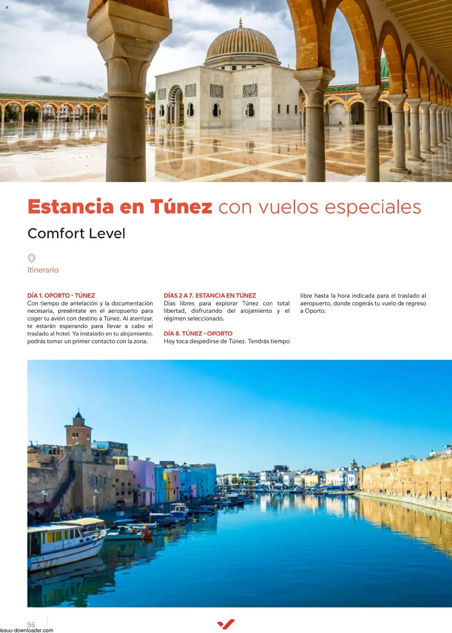 Halcón Viajes Túnez │ válido desde el 08/07/2026 | Página: 56 | Productos: Té