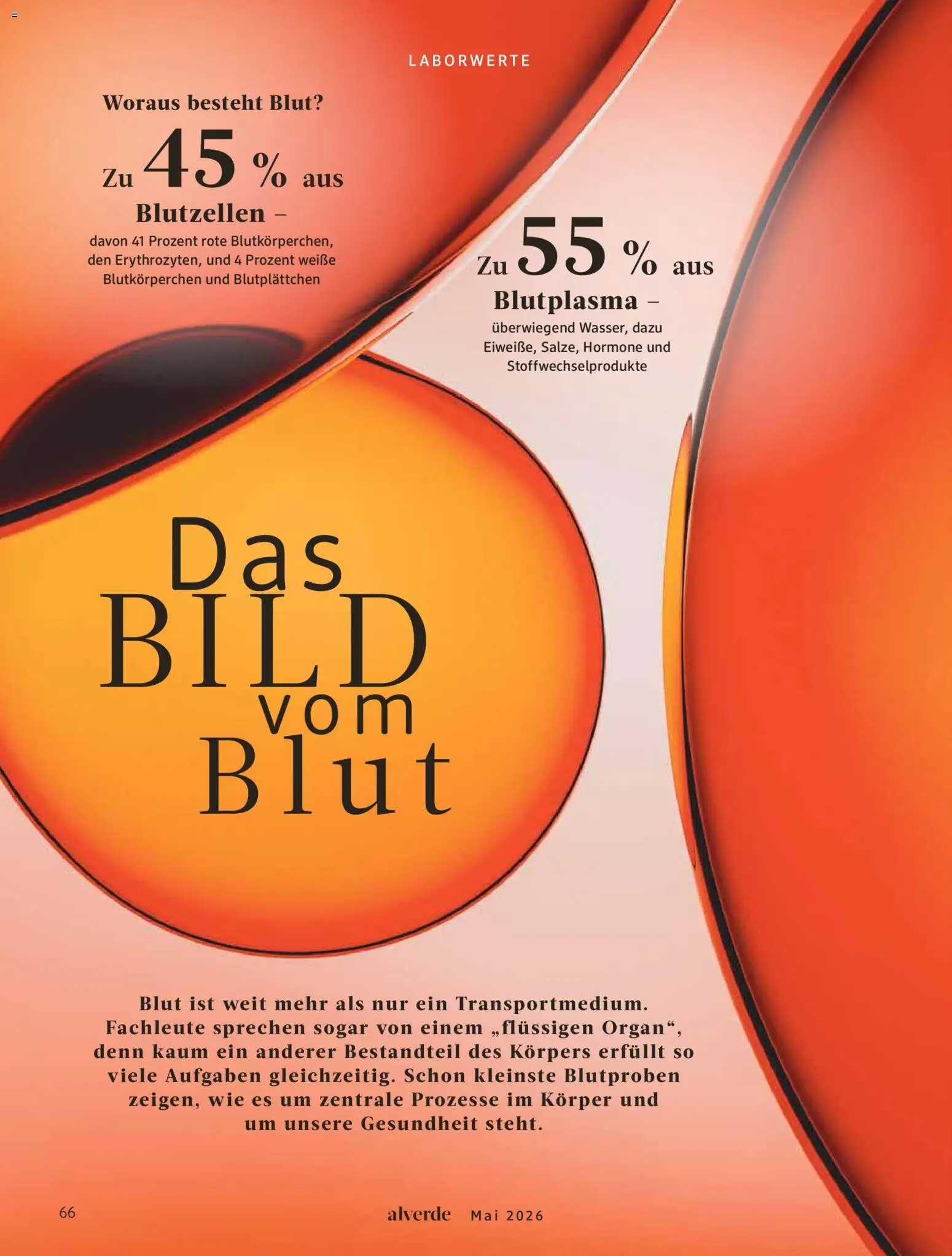 dm drogerie Prospekt 	 – gültig ab 01.05.2026 | Seite: 66