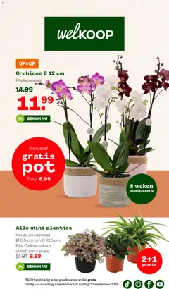 Welkoop folder - Voorbeeld van een folder van Welkoop, geldig van 07-09-2026
