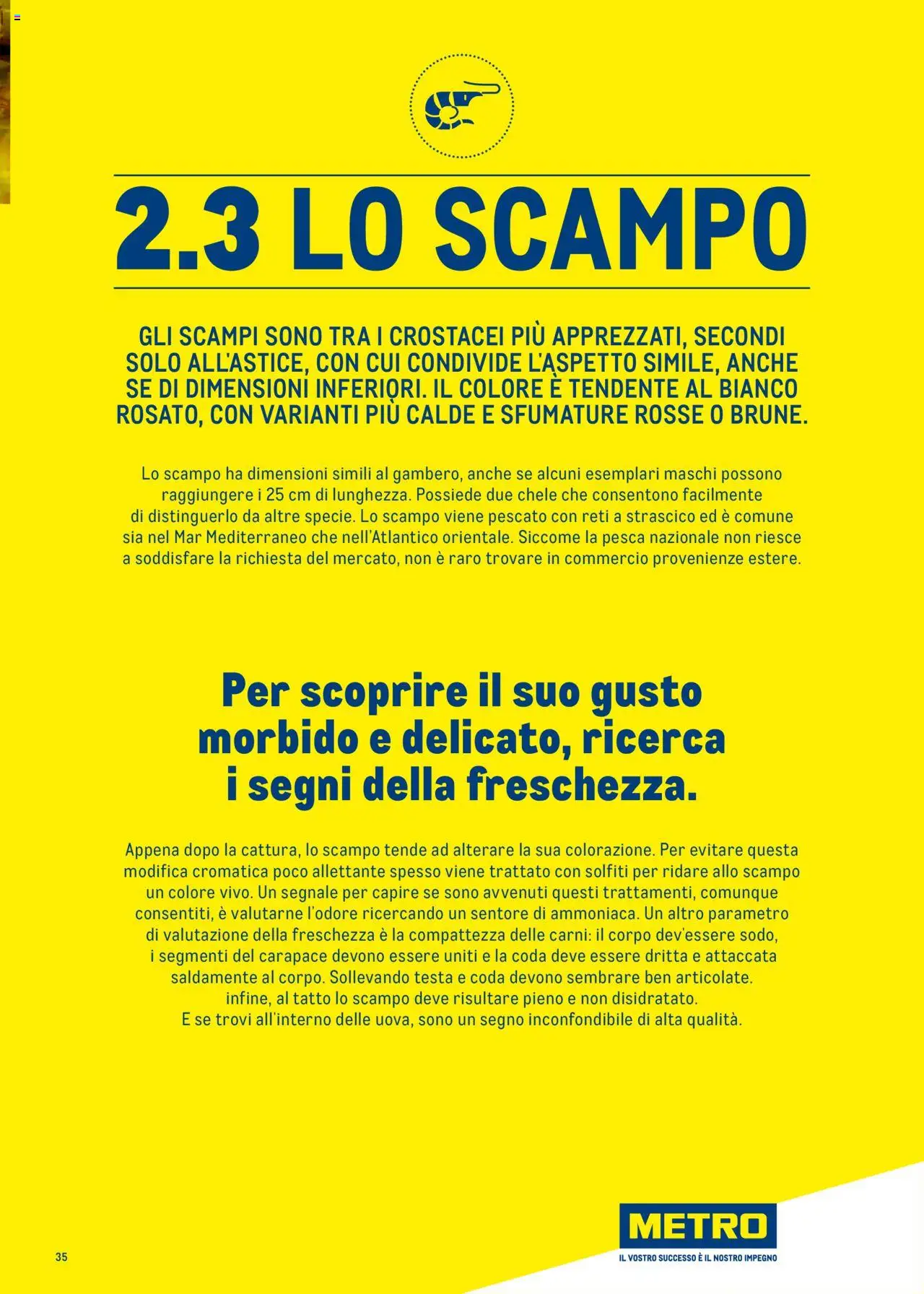 Volantino Metro del 30.06.2025 | Pagina: 35 | Prodotti: Pesca