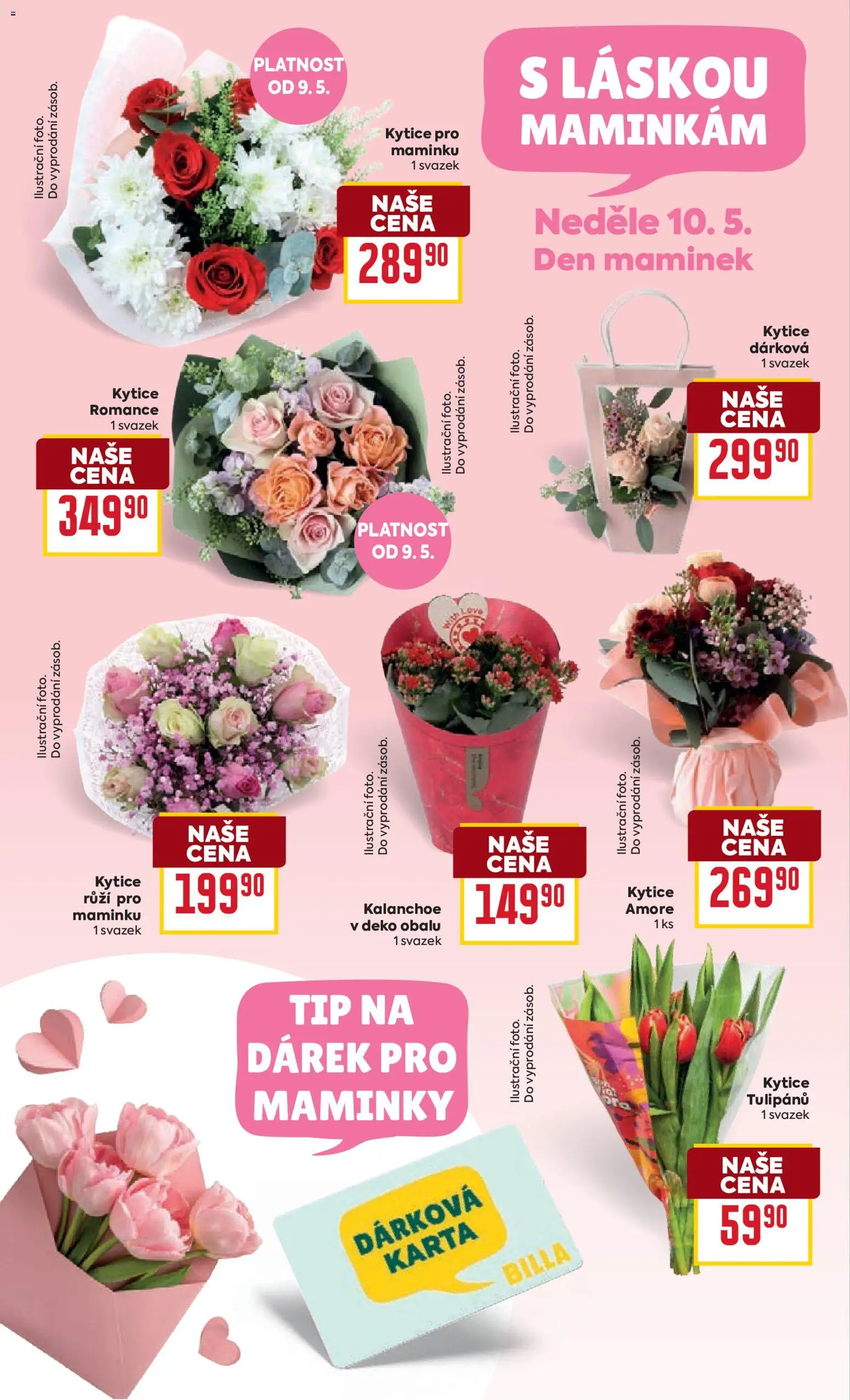 Billa Velký leták od 06.05.2026 | Strana: 10 | Produkty: Kalanchoe, Kytice