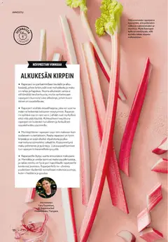 K-Supermarket-mainoslehti voimassa 06.05.2026 alkaen | Sivu: 10 | Tuotteet: Raparperi, Minttu, Voi