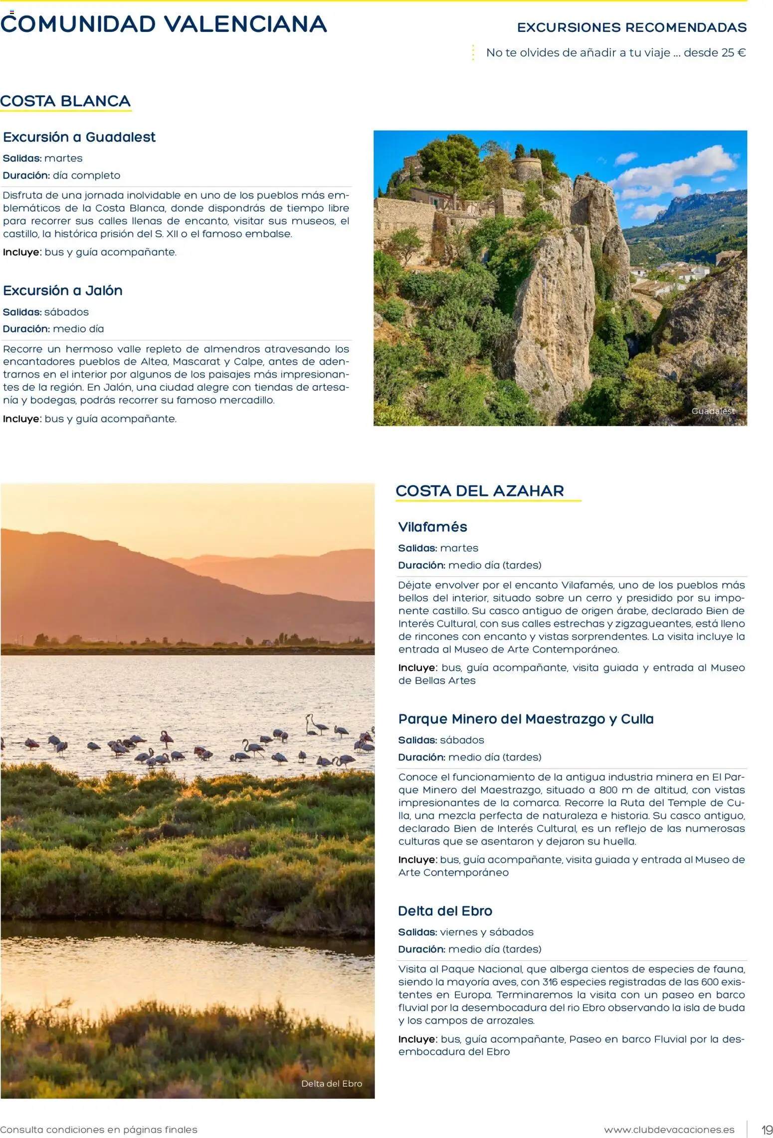 Viajes El Corte Inglés Club de Vacaciones │ válido desde el 01.02.2026 | Página: 19 | Productos: Té