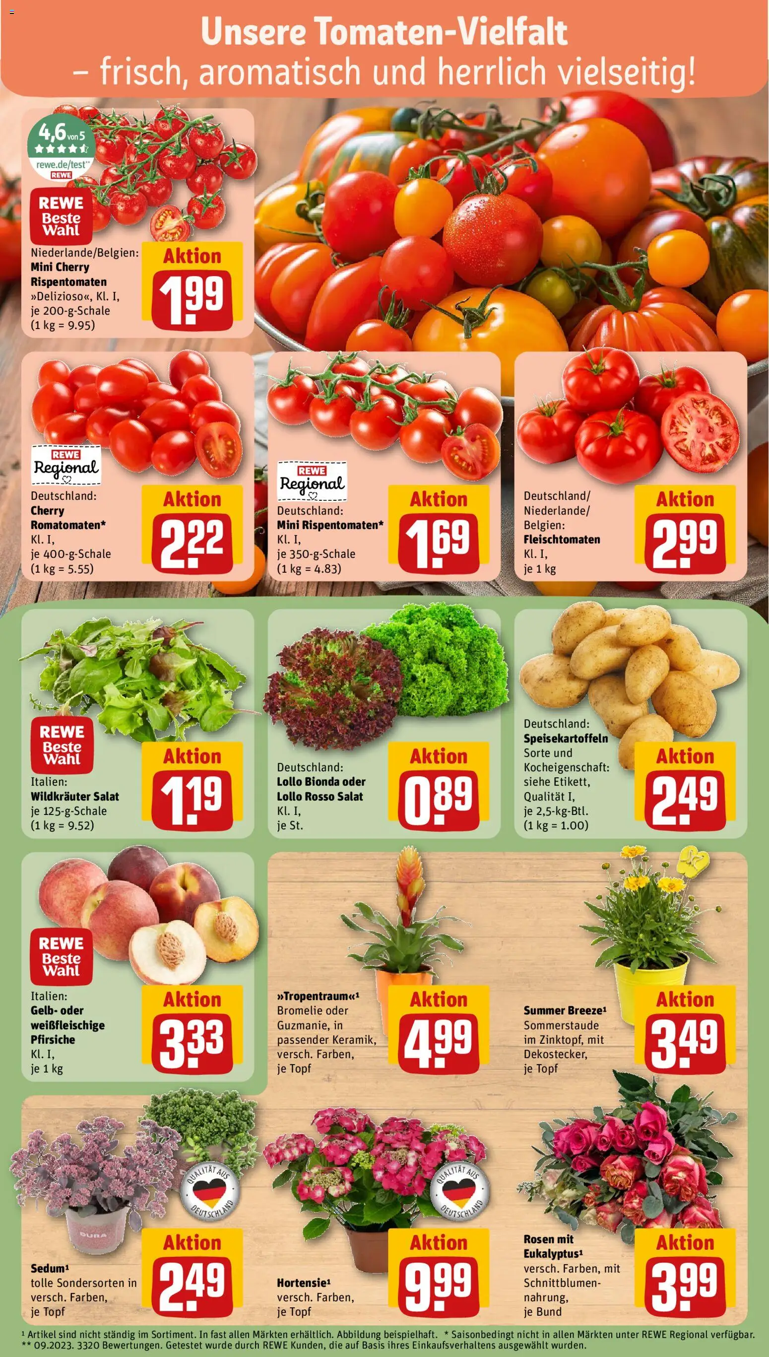 Rewe Prospekt – gültig ab 13.07.2026 | Seite: 7 | Produkte: Salat