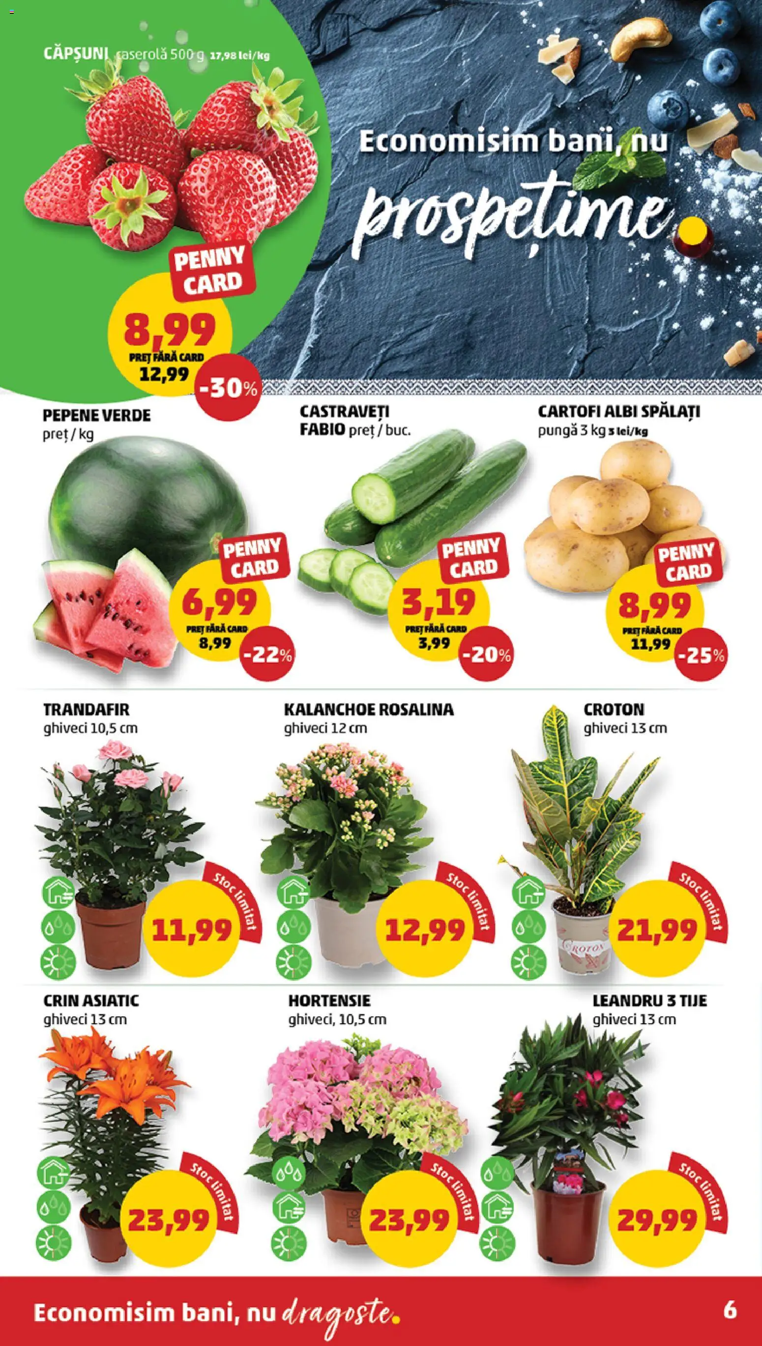 Noul catalog PENNY – valabil de la 08.04.2026 | Pagină: 6 | Produse: Pungă, Trandafir, Căpșuni, Castraveți