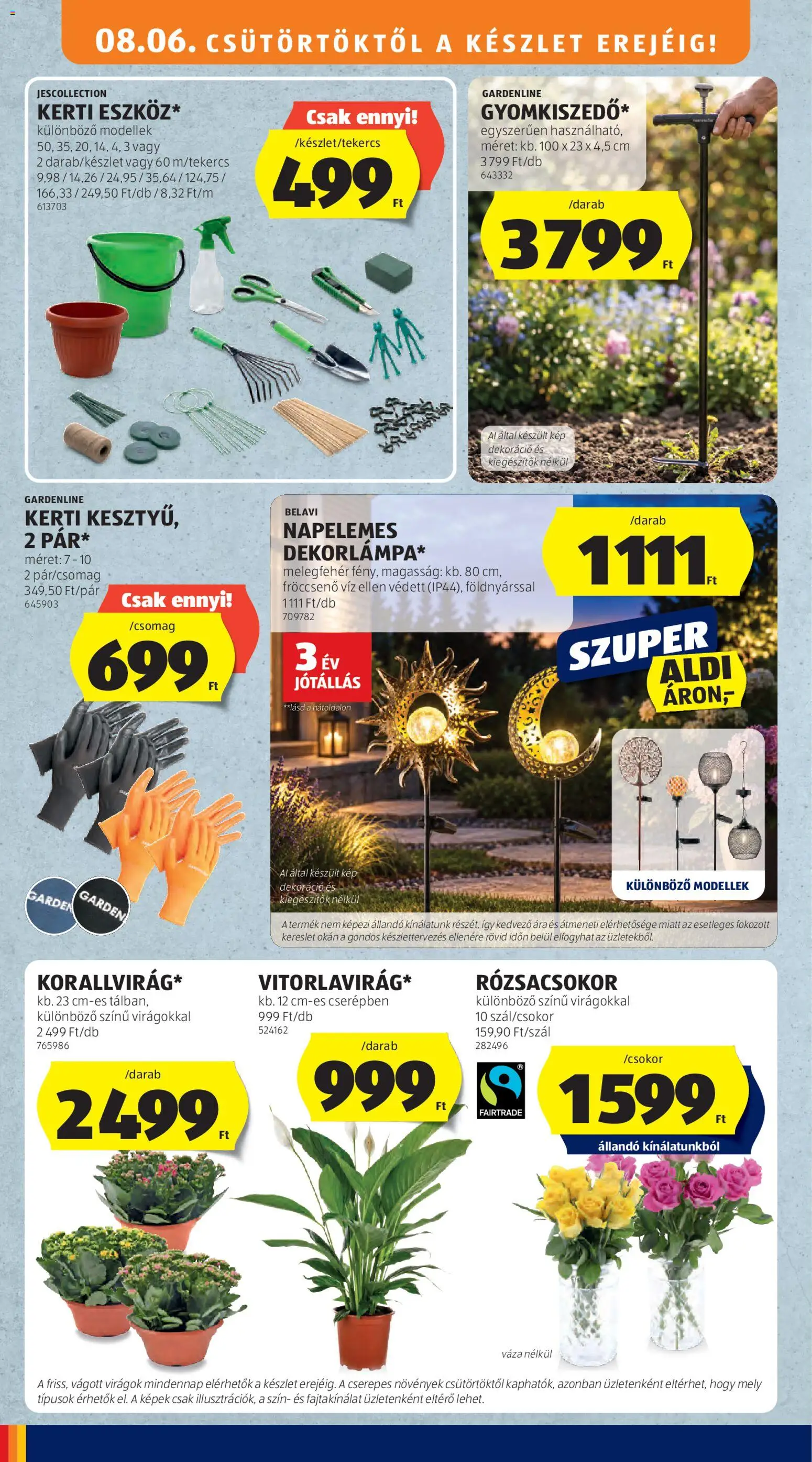 Aldi akciós ujság - amely érvényes a következő dátumtól: 2026.08.06. | Oldal: 4 | Termékek: Virágok, Váza, Dekoráció