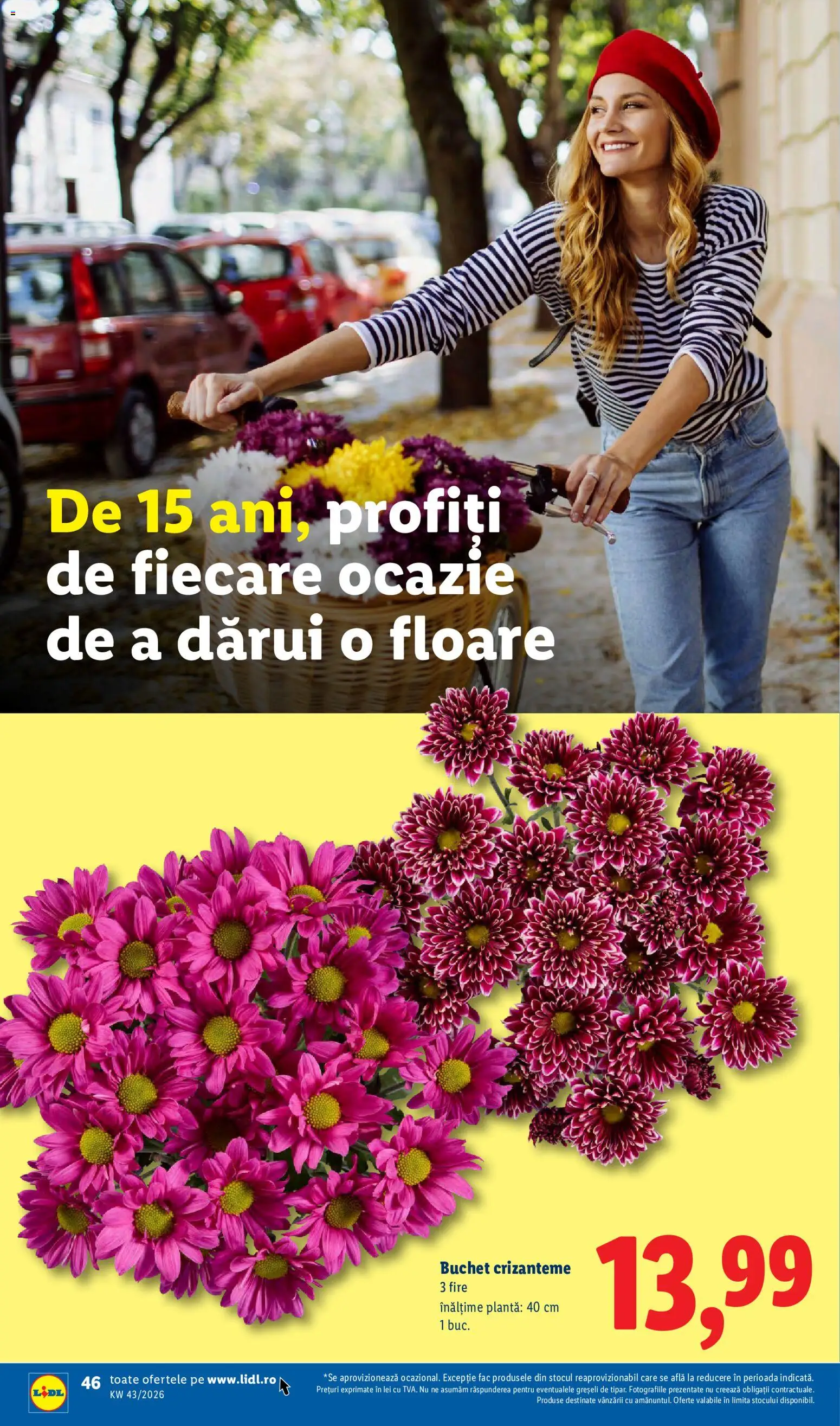 Noul catalog Lidl – valabil de la 19.10.2026 | Pagină: 46