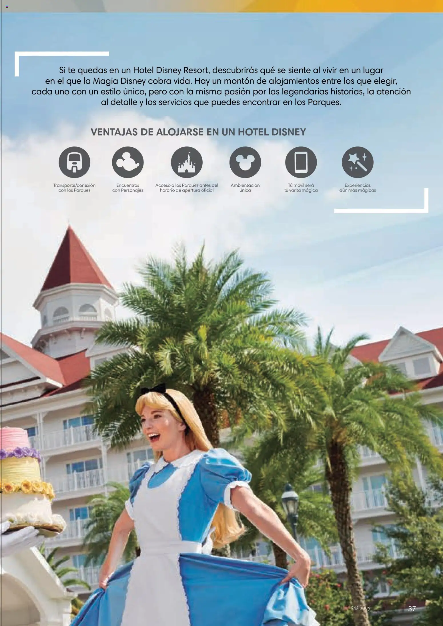 Viajes El Corte Inglés Folleto Walt Disney World │ válido desde el 03/12/2025 | Página: 37 | Productos: Té, Móvil