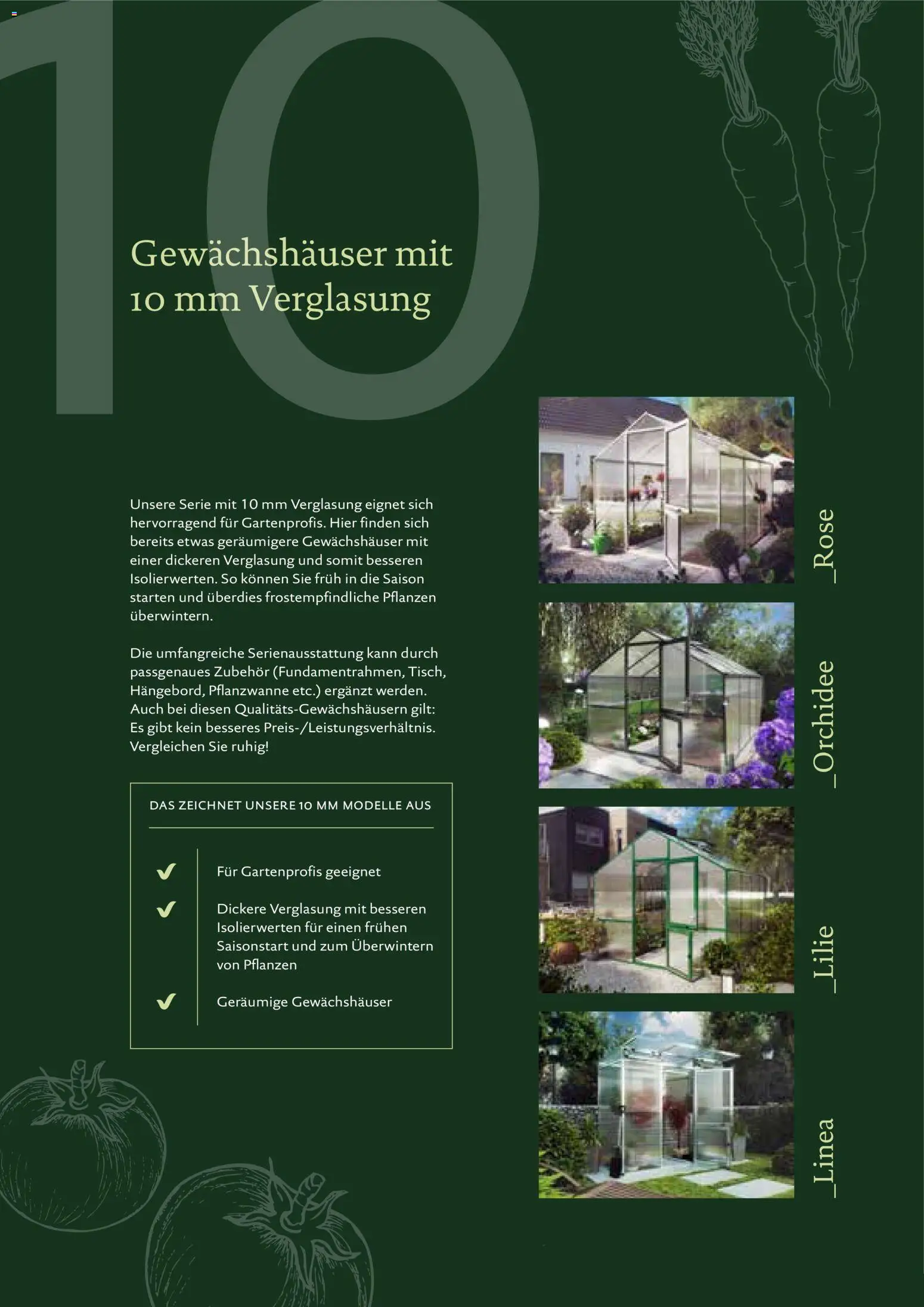 Dehner KGT – Kreative Gartentechnik – gültig ab 01.01.2026 | Seite: 17 | Produkte: Orchidee
