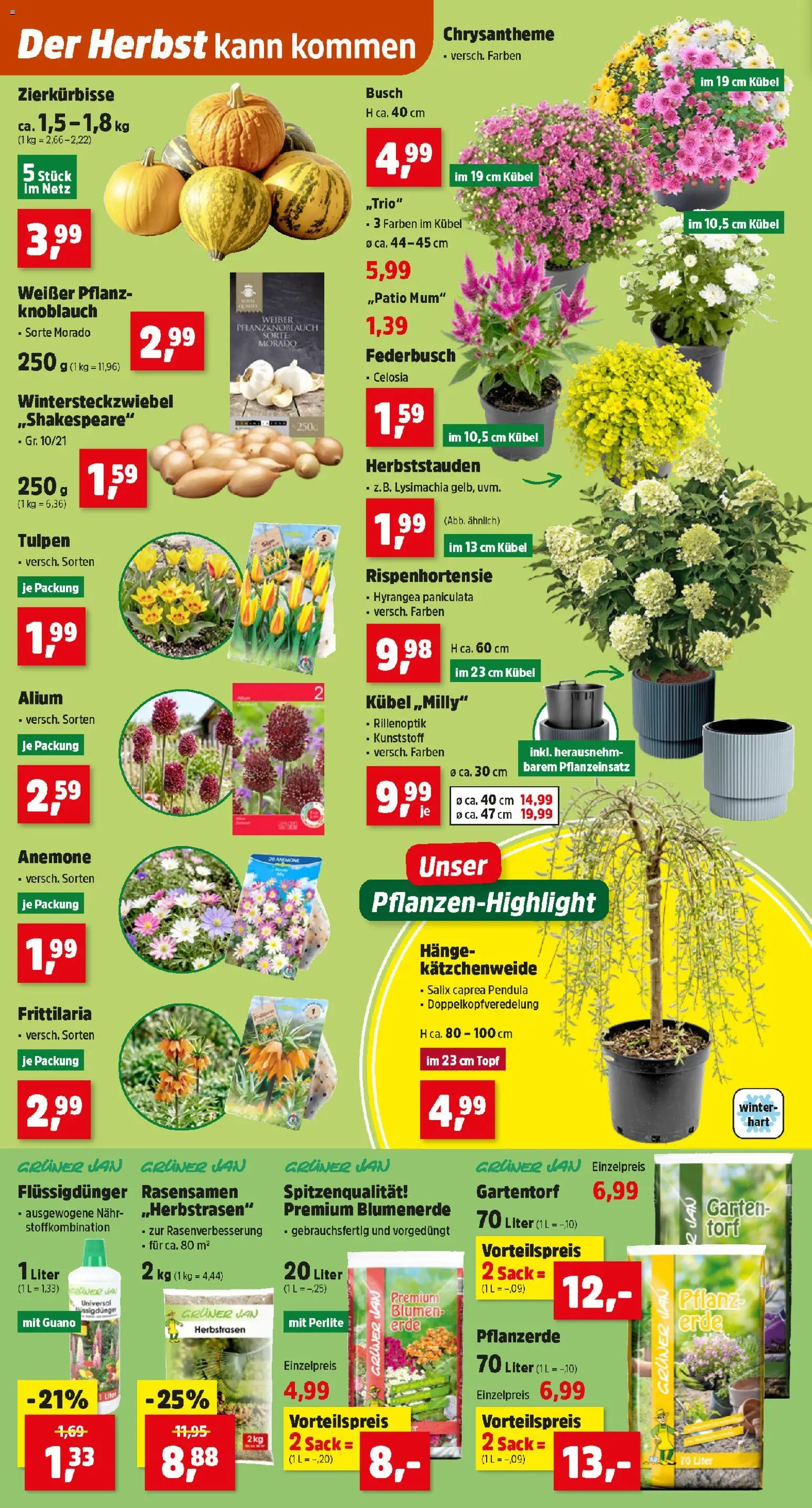 Thomas Philipps Flugblatt gültig ab 31.08.2026 | Seite: 2 | Produkte: Knoblauch