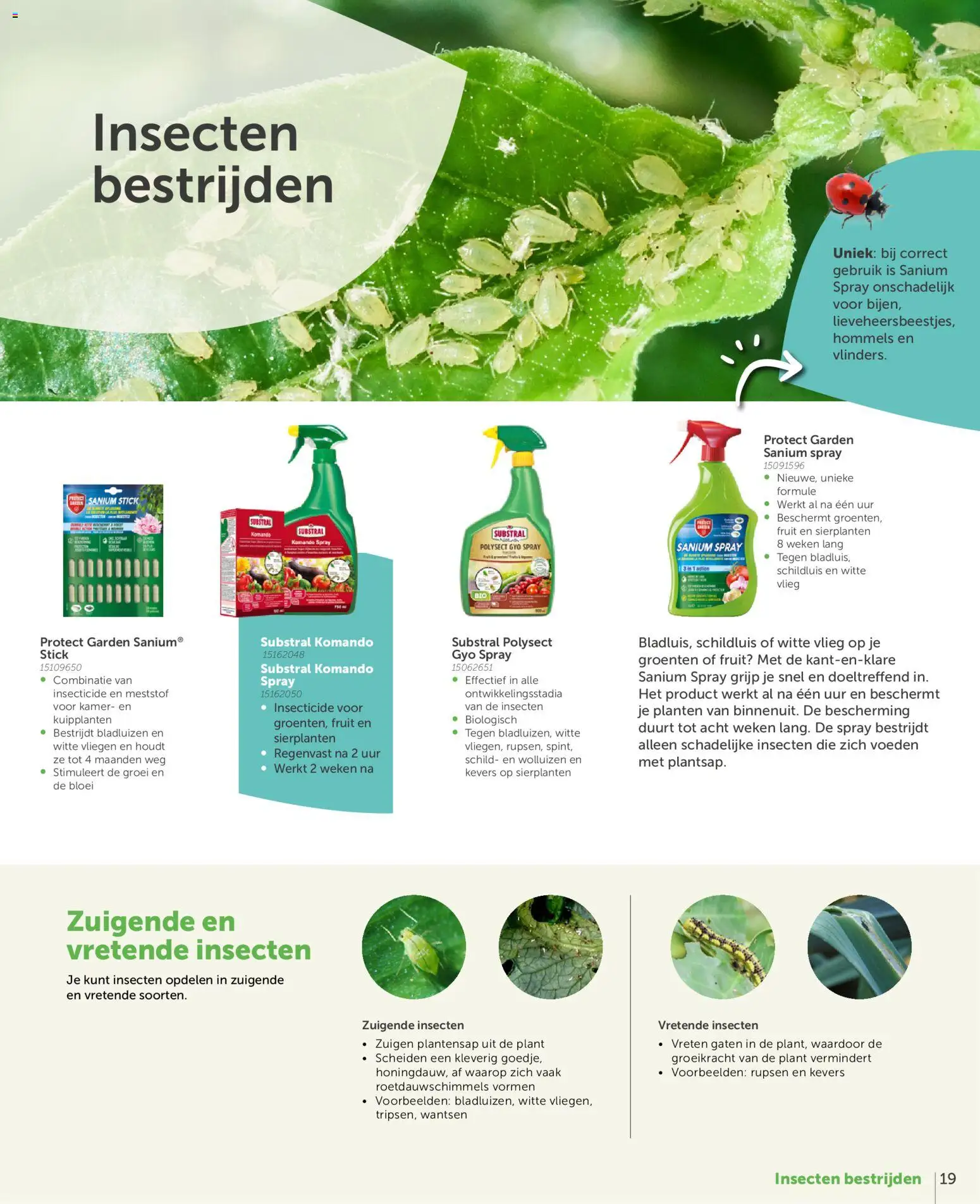 {H1} | Pagina: 19 | Producten: Fruit, Groenten